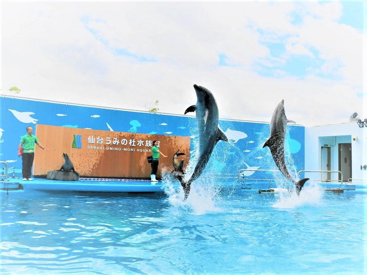 仙台うみの杜水族館 画像1枚目