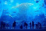 仙台うみの杜水族館