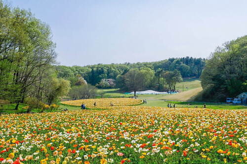 国営武蔵丘陵森林公園