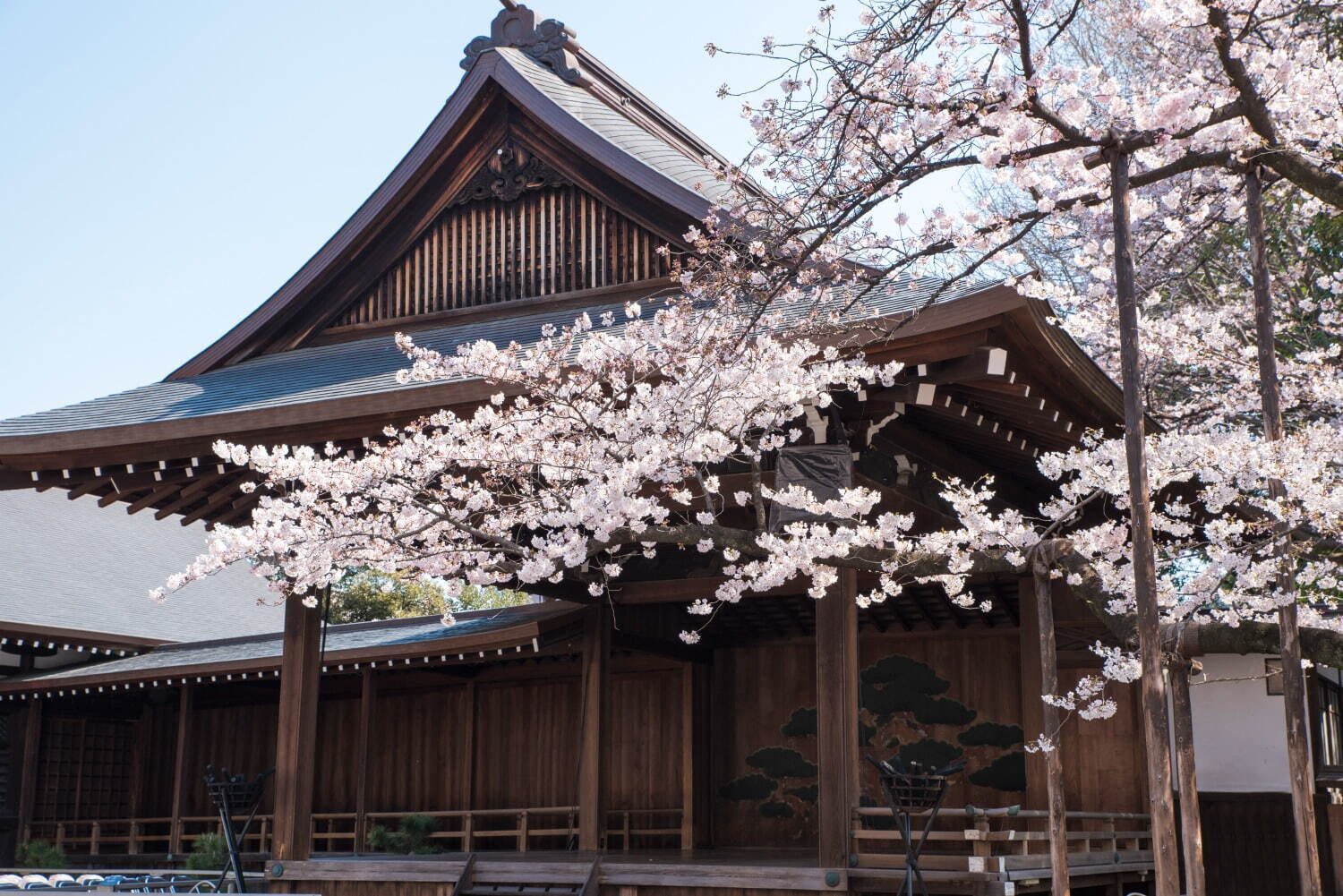靖国神社 - 写真5