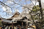 靖国神社 画像1枚目