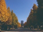 靖国神社 画像8枚目