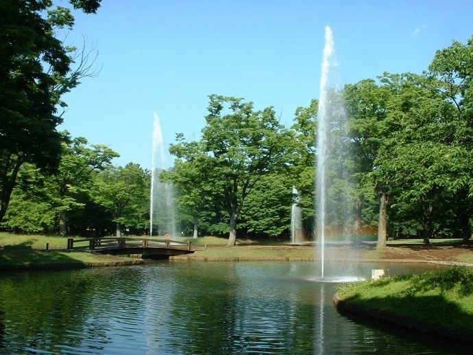 代々木公園 画像2枚目