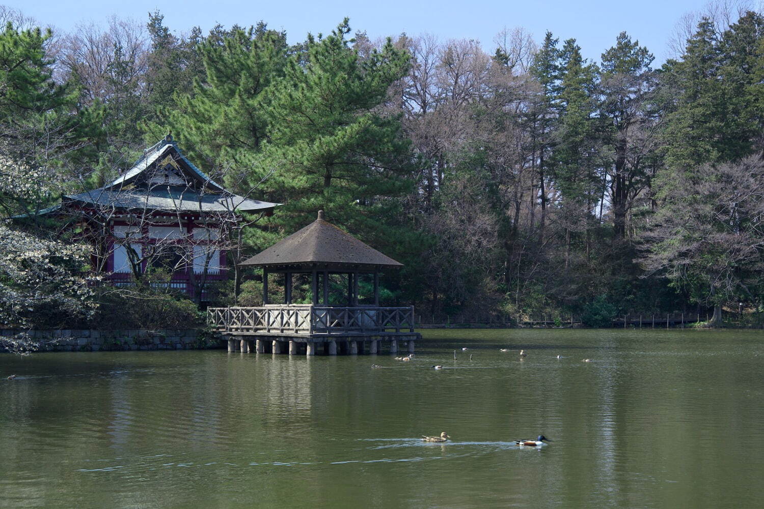 石神井 公園