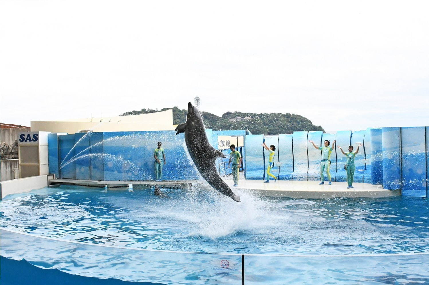 新江ノ島水族館 画像1枚目