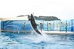 新江ノ島水族館