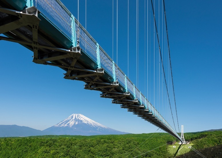 超可爱 写真1/2｜三島スカイウォーク (ミシマスカイウォーク) - 富士 絵画