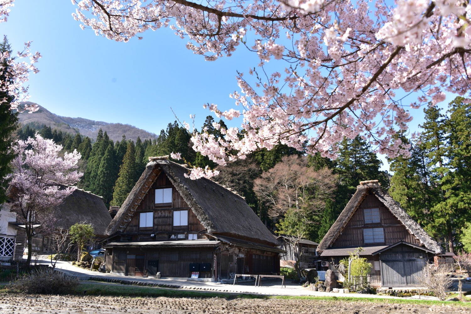 白川郷合掌造り集落 シラカワゴウガッショウヅクリシュウラク 飛田高山 名所 有名スポット ファッションプレス 白川郷合掌造り集落 シラカワゴウガッショウヅクリシュウラク 飛田高山 名所 有名スポット ファッションプレス