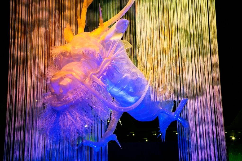 琵琶湖博物館 画像6枚目