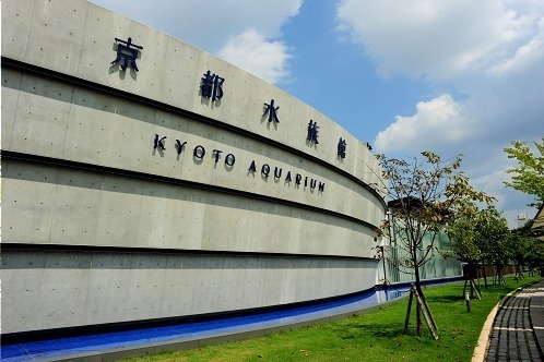 京都水族館 - 写真0