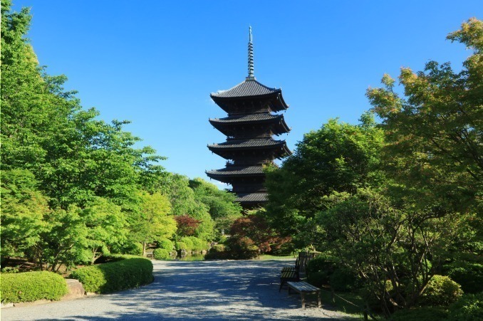 東寺 画像1枚目