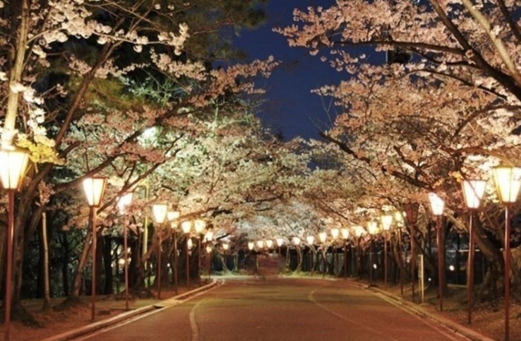 日岡山公園 画像1枚目