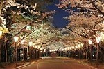 日岡山公園