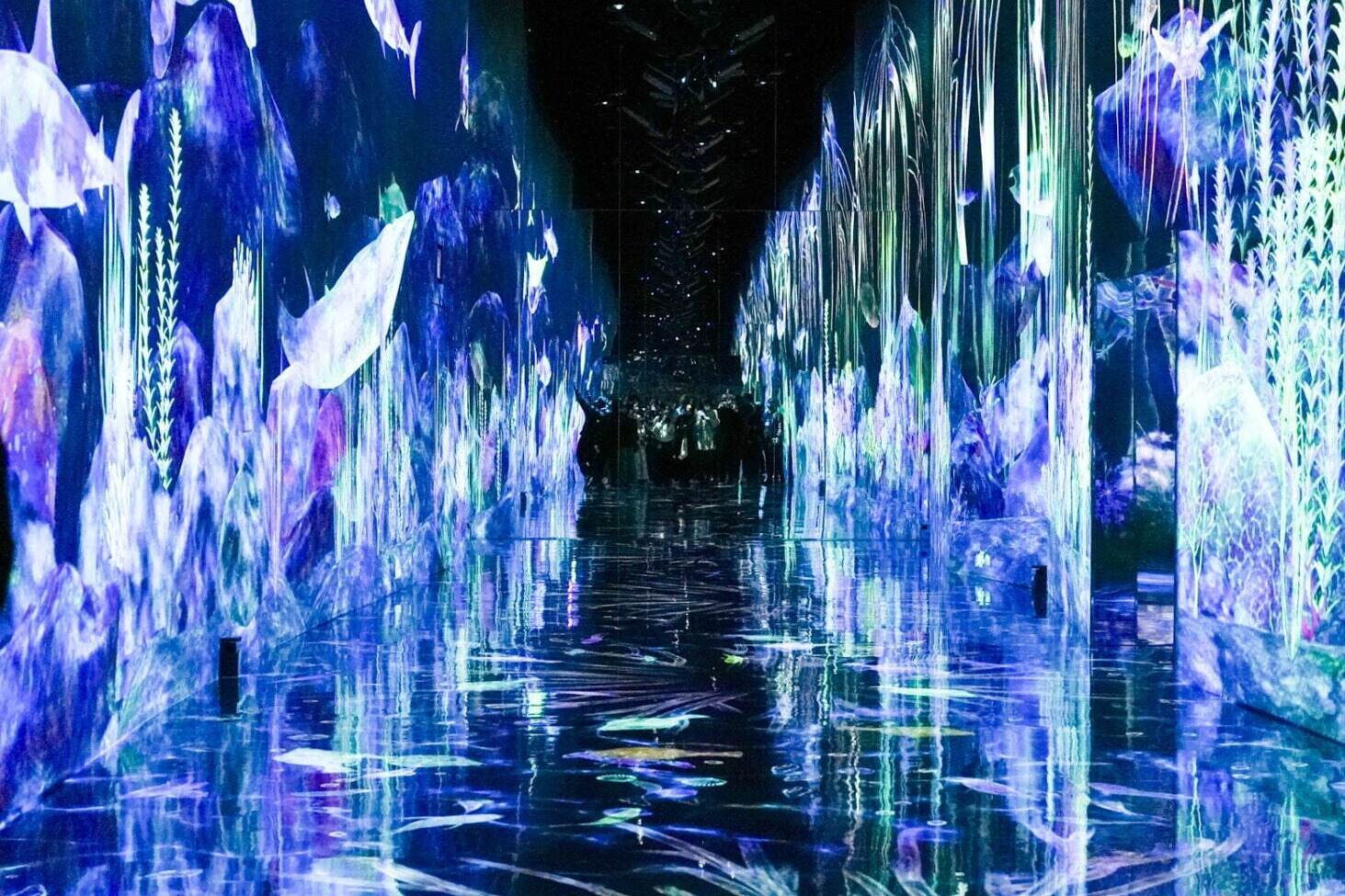 チームラボプラネッツ TOKYO DMM.com