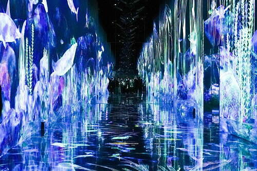 チームラボプラネッツ TOKYO DMM.com