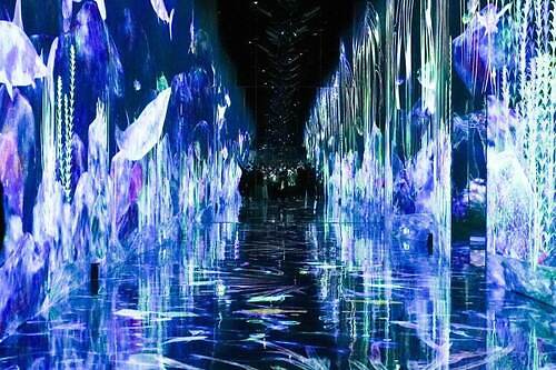 チームラボプラネッツ TOKYO DMM.com