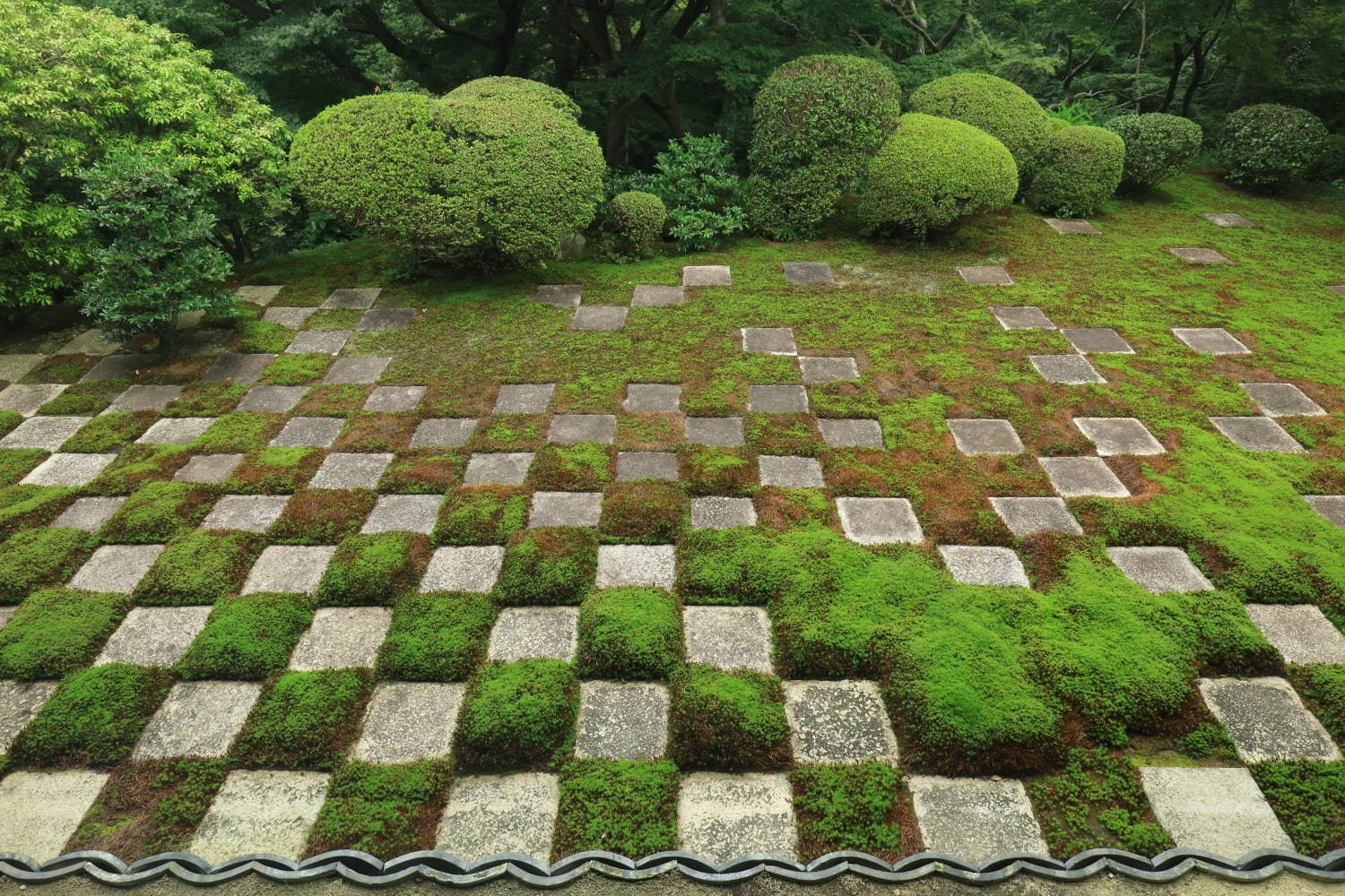 東福寺 - 写真1
