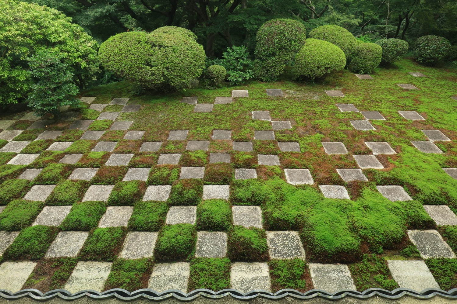 東福寺 画像1枚目