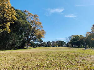 スノーピーク土佐清水キャンプフィールド - 写真1