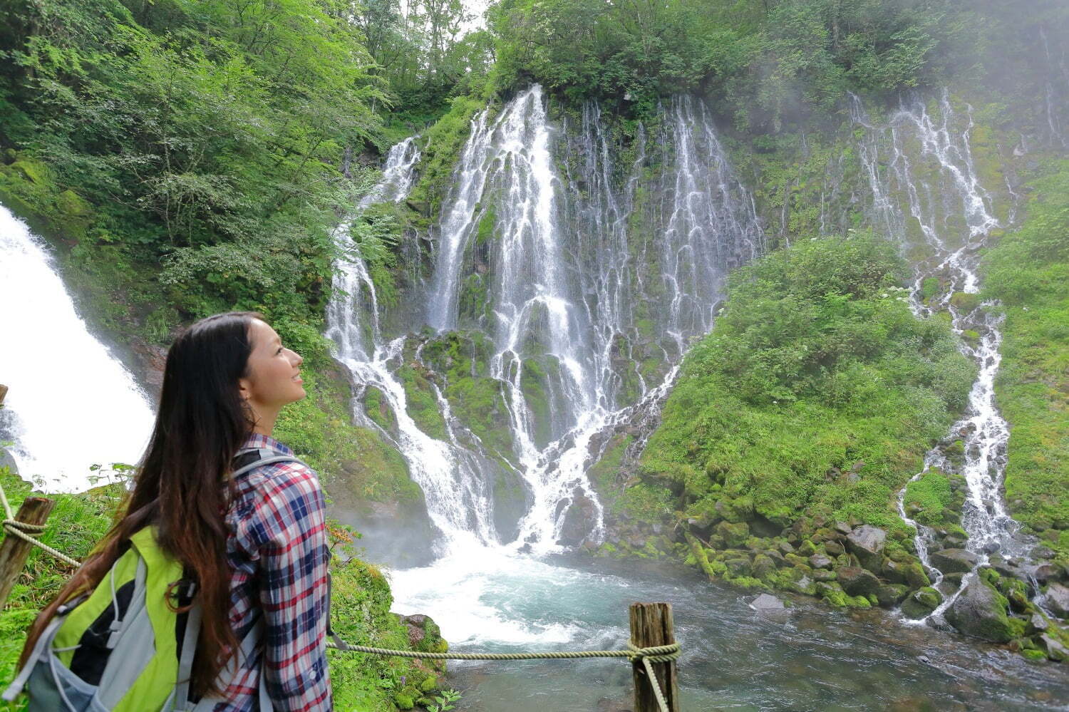 乗鞍山麓 五色ヶ原の森