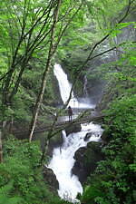 乗鞍山麓 五色ヶ原の森 画像3枚目