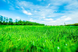 グランルージュ 夕日ヶ浦 - 写真16