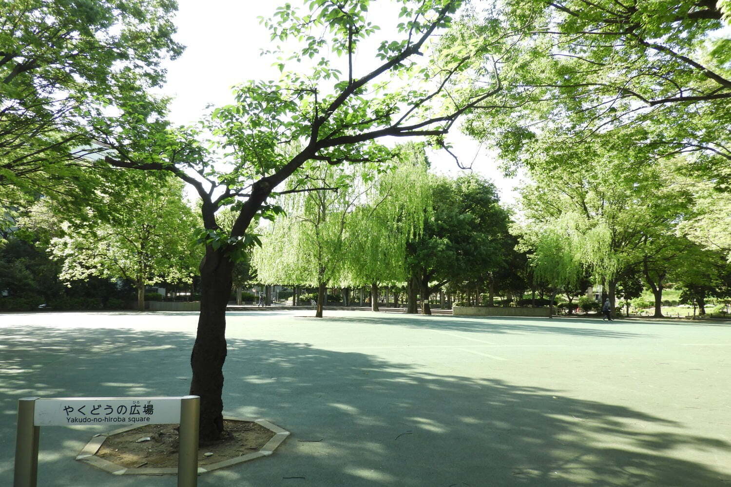 戸山公園 画像1枚目