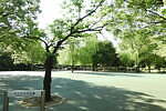 戸山公園