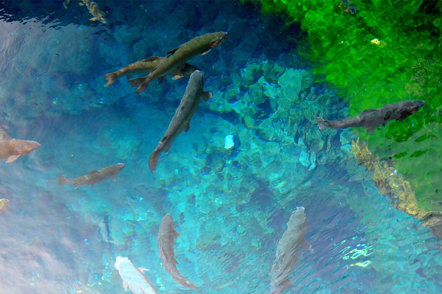 グランドーム富士忍野 画像20枚目