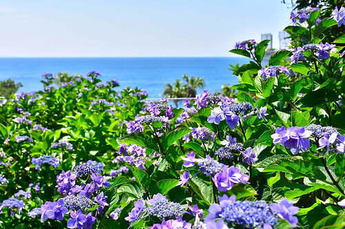 ニューヨークランプミュージアム＆フラワーガーデン