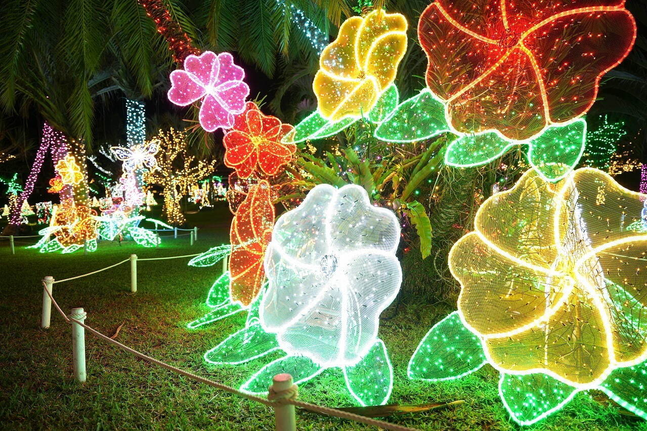 美らヤシパークオキナワ・東南植物楽園 - 写真4