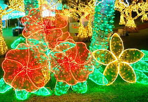 美らヤシパークオキナワ・東南植物楽園 - 写真3