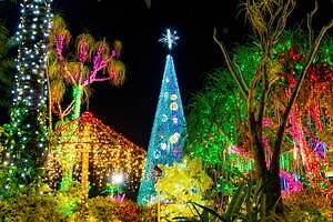 美らヤシパークオキナワ・東南植物楽園 - 写真6