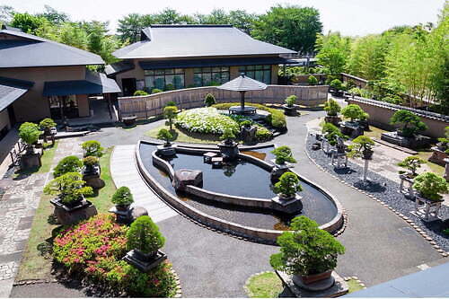 さいたま市大宮盆栽美術館