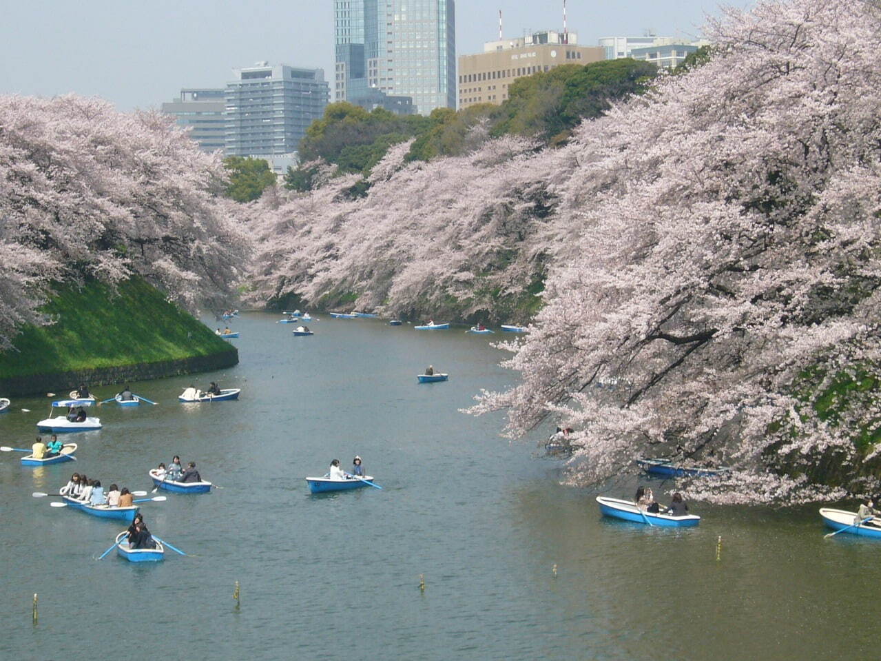 千鳥ヶ淵緑道 画像1枚目