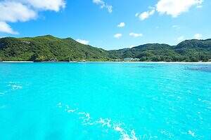 渡嘉志久ビーチ - 写真22