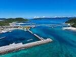 阿嘉大橋 画像4枚目