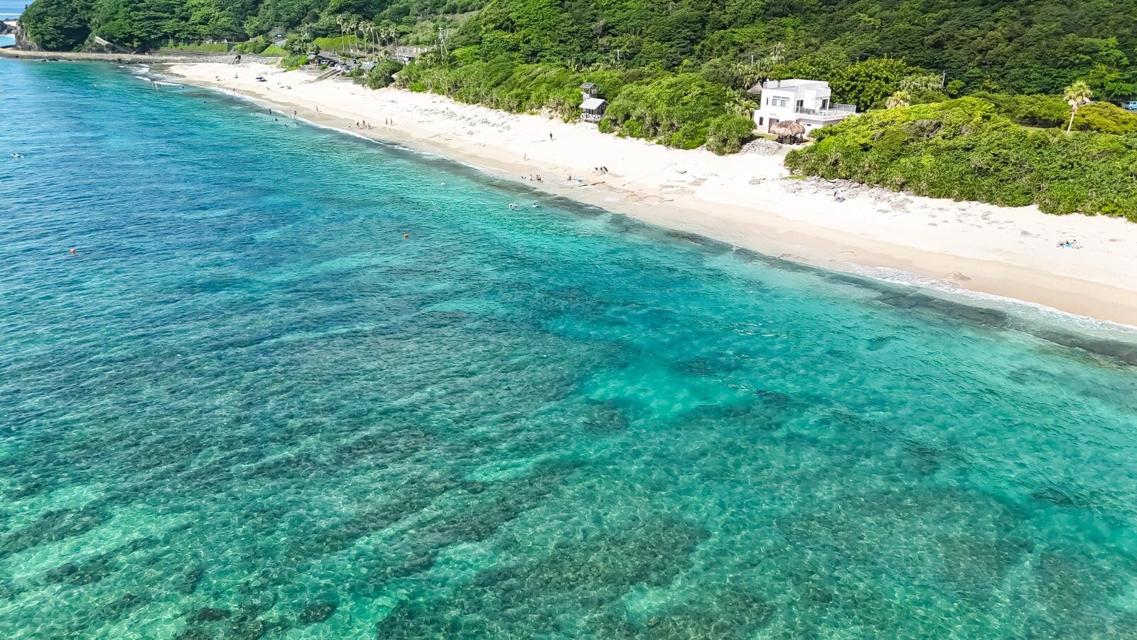 大浜海浜公園 画像1枚目