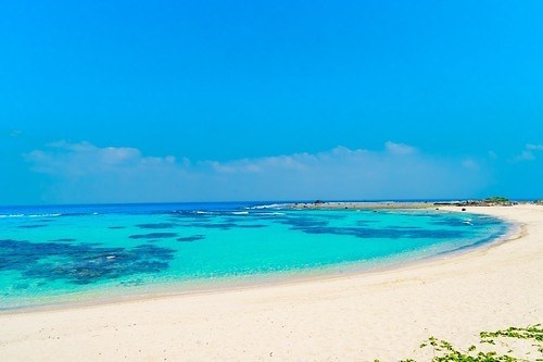土盛海岸