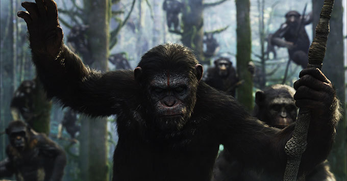『猿の惑星：新世紀(ライジング)』公開 - 猿vs人類、前作から10年後の新たな戦い | 写真