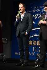 『ファンタスティック・ビーストと魔法使いの旅』場面カット｜写真17