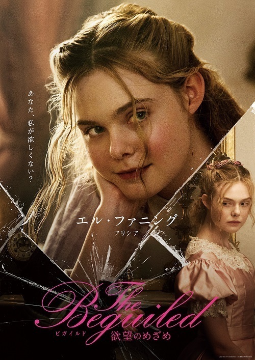 Amazon.co.jp: The Beguiled ビガイルド 欲望のめざめ [Blu-ray