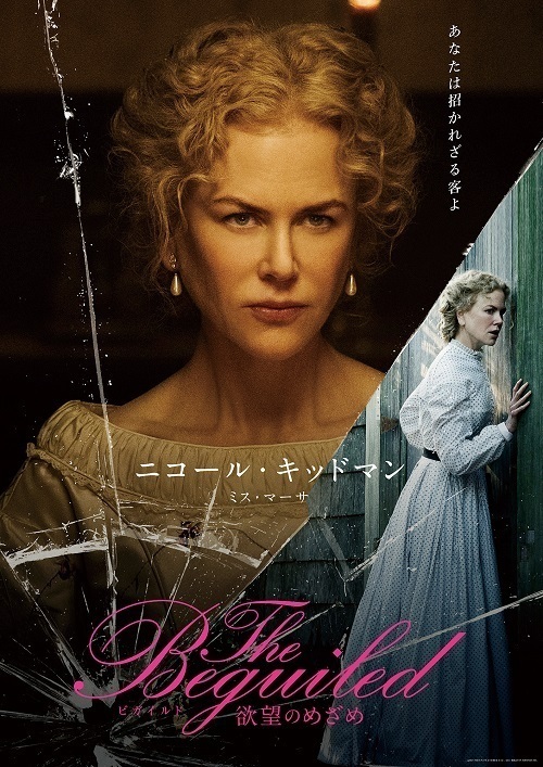 写真21/23｜The Beguiled/ビガイルド 欲望のめざめ