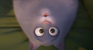 『ペット2』場面カット｜写真3