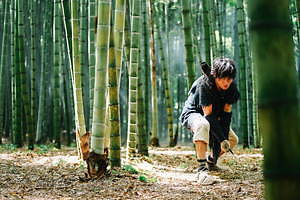 キングダム ( 2019 ) 画像17