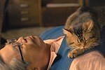 『ねことじいちゃん』場面カット｜写真5