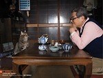 『ねことじいちゃん』場面カット｜写真6