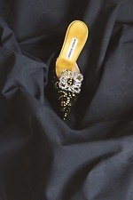 『マノロ・ブラニク トカゲに靴を作った少年』場面カット｜写真24