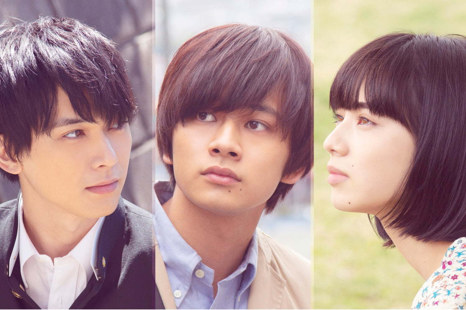 映画『さくら』