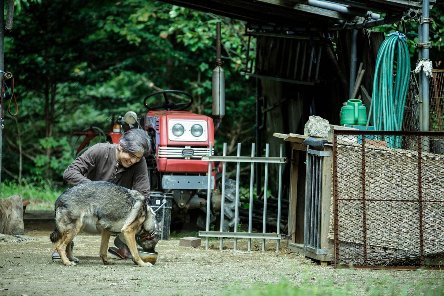 楽園 ( 2019 ) - 写真10